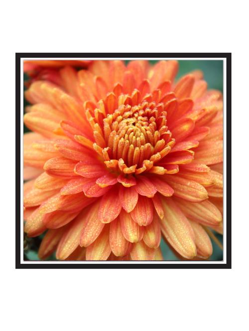 wall decal art prints on mdf board for decor (12x12 inches) unframed & without glass - 18521658 - Very Small Image - 1