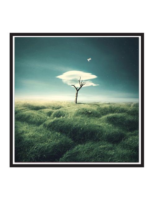 cloud-tree paper poster / sticker paper print (12 inch x 12 inch, rolled) - 18522790 - Very Small Image - 1