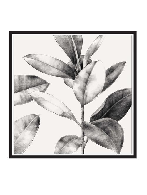 elastica paper poster / sticker paper print (12 inch x 12 inch, rolled) - 18522810 - Very Small Image - 1