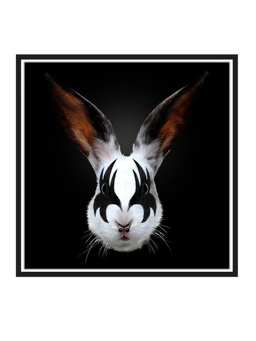 kiss-of-a-rabbit paper poster / sticker paper print (12 inch x 12 inch, rolled) - 18522878 - Very Small Image - 1