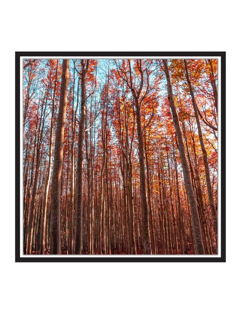 infinity paper poster / sticker paper print (12 inch x 12 inch, rolled) - 18523052 - Very Small Image - 1