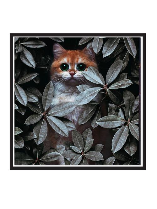 paper poster / sticker paper print (12 inch x 12 inch, rolled) - 18523267 - Very Small Image - 1