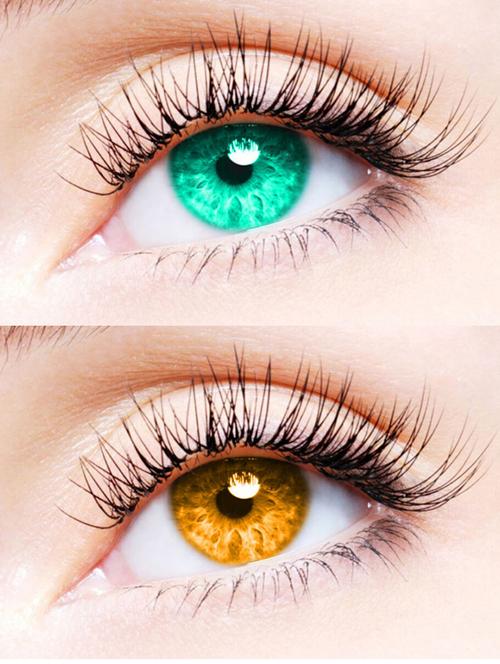 unisex 2 pair monthly colored contact lenses zero power (sea blue-honey) - 18538066 - Very Small Image - 1