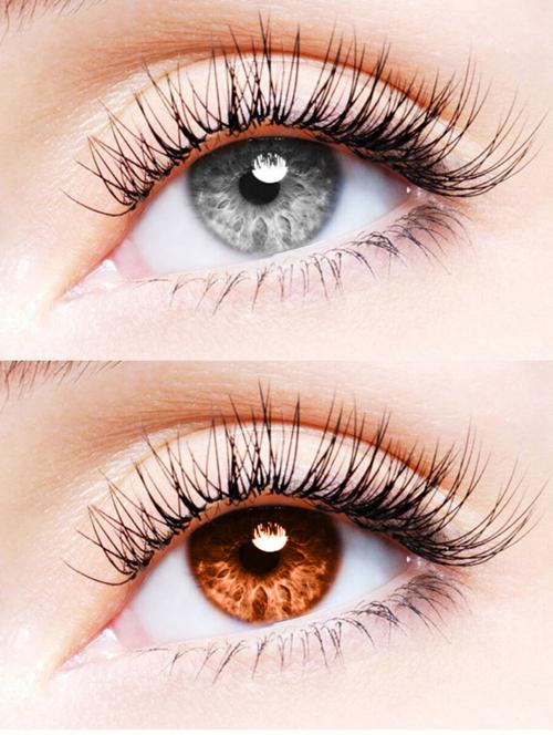 unisex 2 pair monthly colored contact lenses zero power (grey-brown) - 18539224 - Very Small Image - 1
