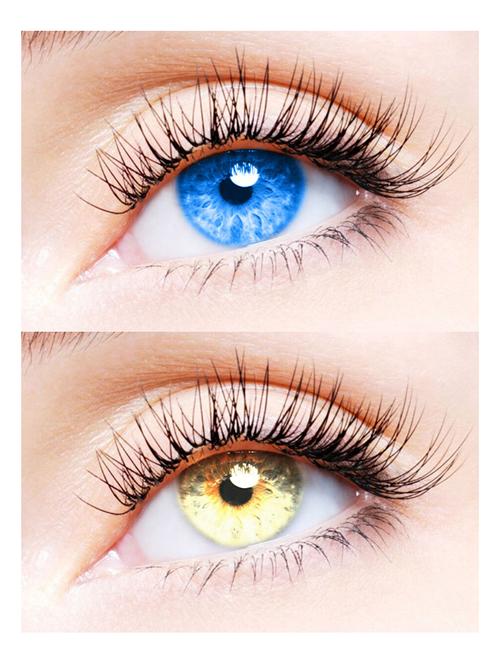 unisex 2 pair monthly colored contact lenses zero power (light blue-gold) - 18549165 - Very Small Image - 1
