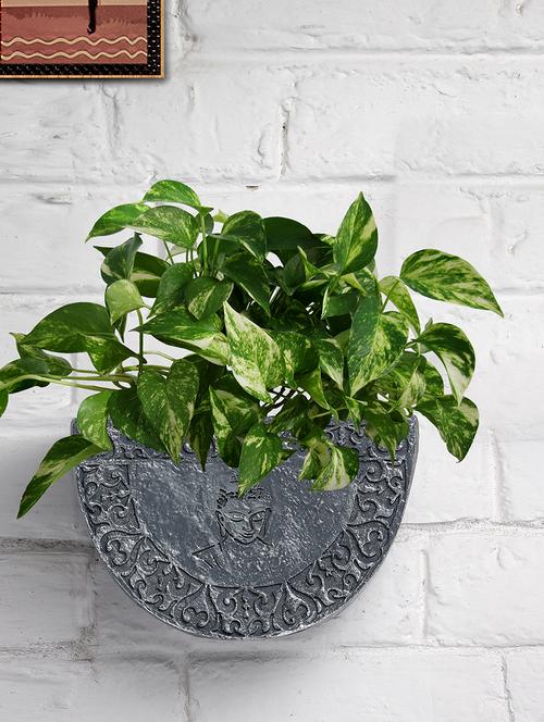 fiber u shape half circle grey and silver hanging wall pots for plants ideal for home, garden, office - 18591744 - Very Small Image - 1