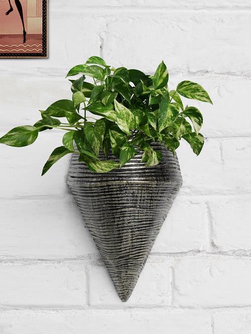 conical shape golden fiber wall decorative wall planters - 18591752 - Very Small Image - 1