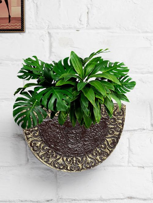 u shape brown and golden wall d?cor planter - 18591755 - Very Small Image - 1