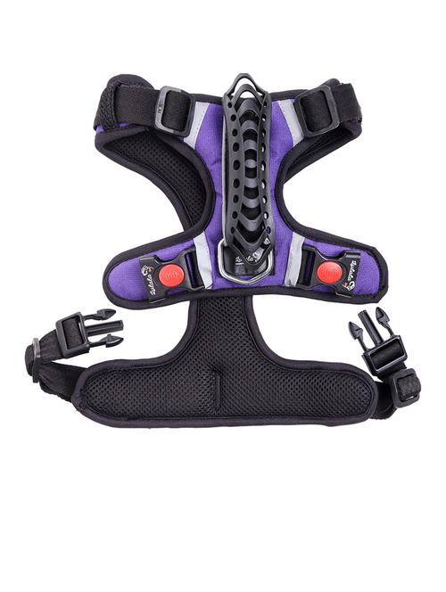 purple nylon harnes - 18692057 - Very Small Image - 1