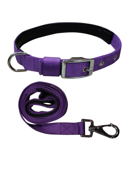 purple nylon collar - 18692068 - Very Small Image - 1