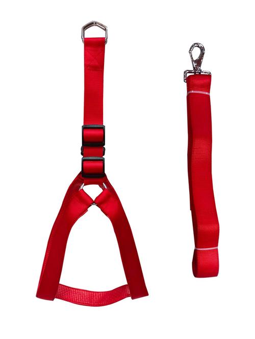 red nylon harnes - 18692093 - Very Small Image - 1