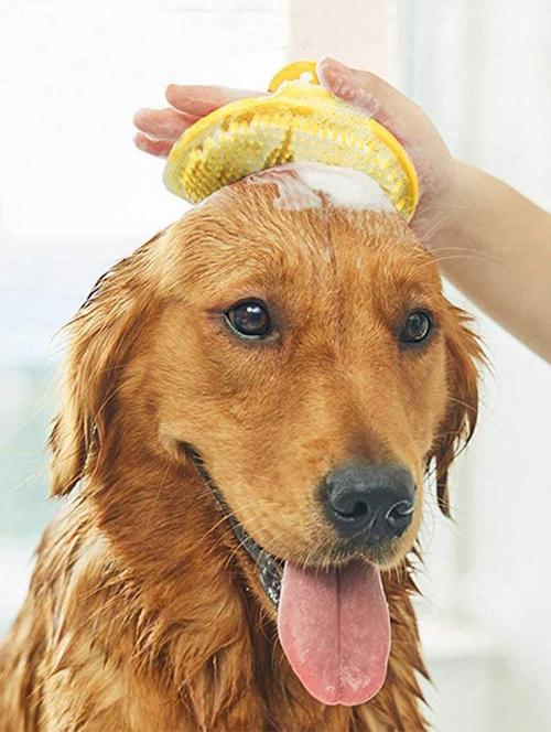 yellow silicone pet comb brush - 18697340 - Very Small Image - 1