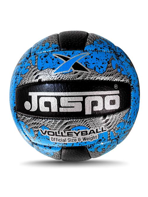 multi colored volley ball - 18846025 - Very Small Image - 1
