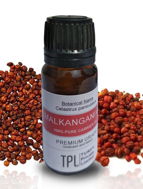 malkangni oil (malkangani / jyotishmati) 100% pure, natural therapeutic grade cold pressed oil - 18913200 - Very Small Image - 1
