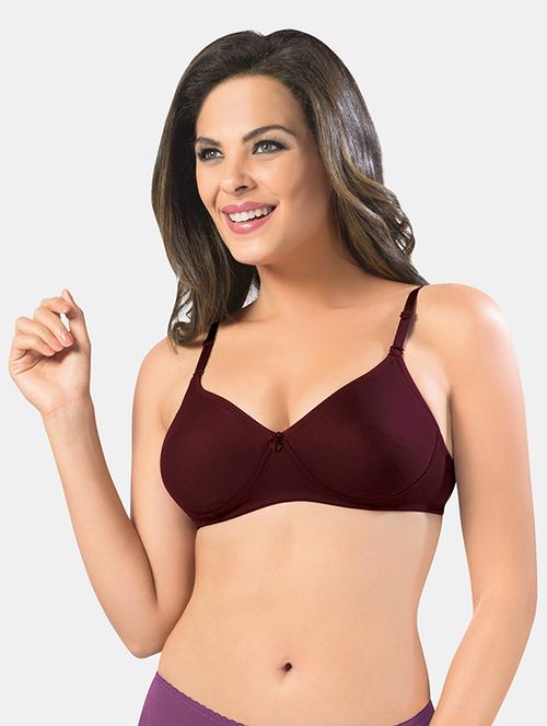 women maroon solid bra combo - 19140401 - Very Small Image - 1
