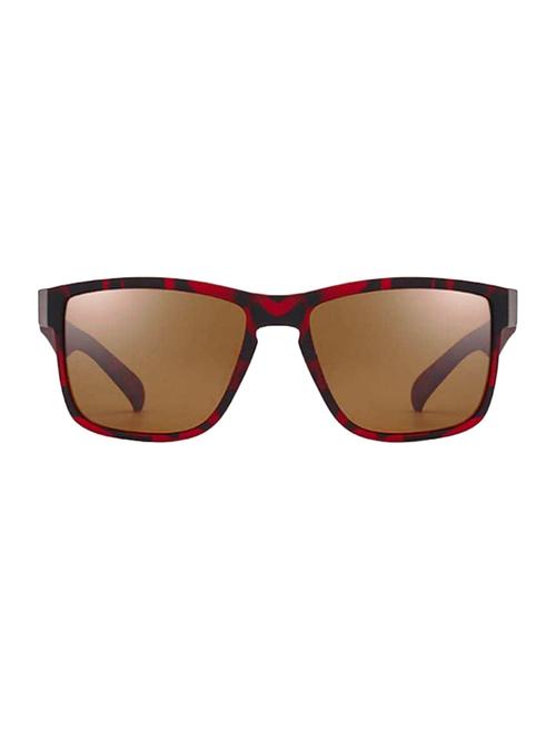 brown men sunglasses - 19185319 - Very Small Image - 1
