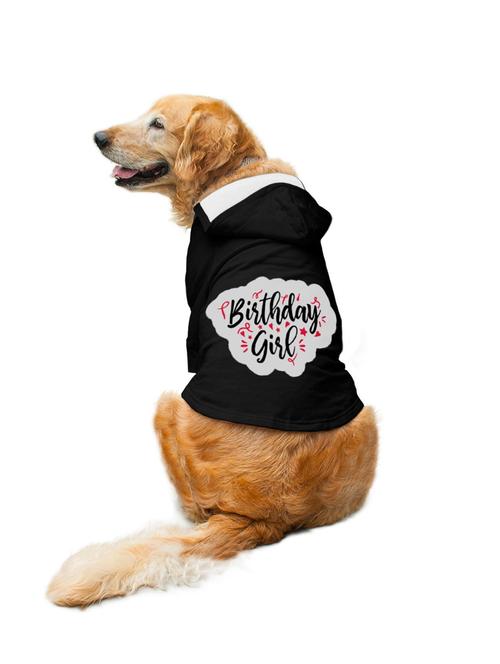 pack off 2 cotton pet apparel - 19221759 - Very Small Image - 1