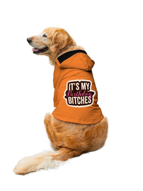 orange cotton pet apparel - 19221762 - Very Small Image - 1