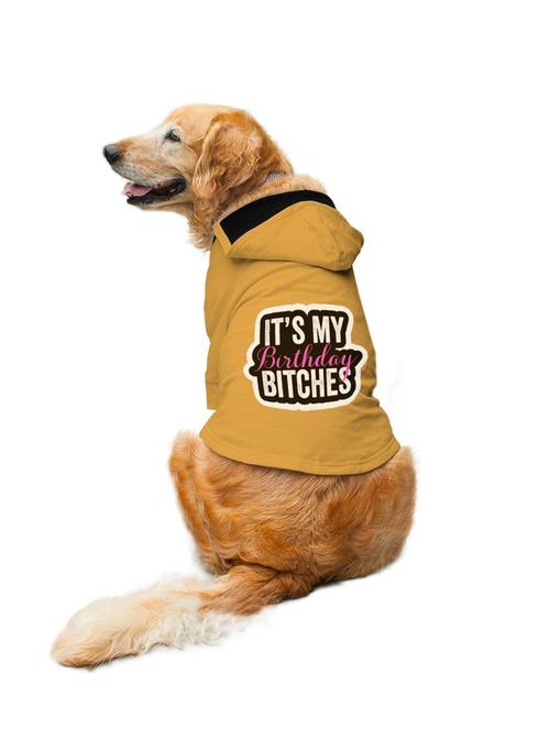 yellow cotton pet apparel - 19221942 - Very Small Image - 1