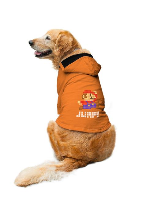 orange cotton pet apparel - 19221948 - Very Small Image - 1