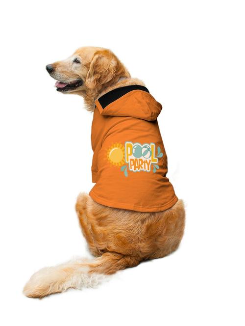 orange cotton pet apparel - 19222078 - Very Small Image - 1