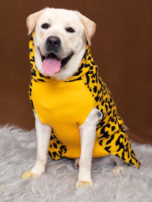 yellow wool blend pet apparel - 19748192 - Very Small Image - 1