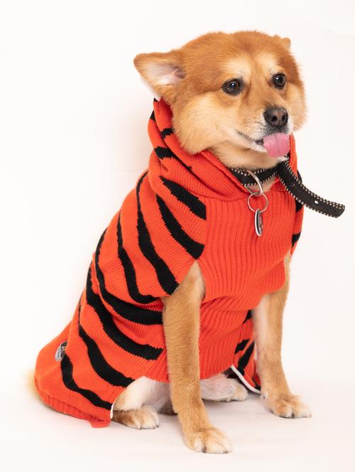 orange wool blend pet apparel - 19748193 - Very Small Image - 1