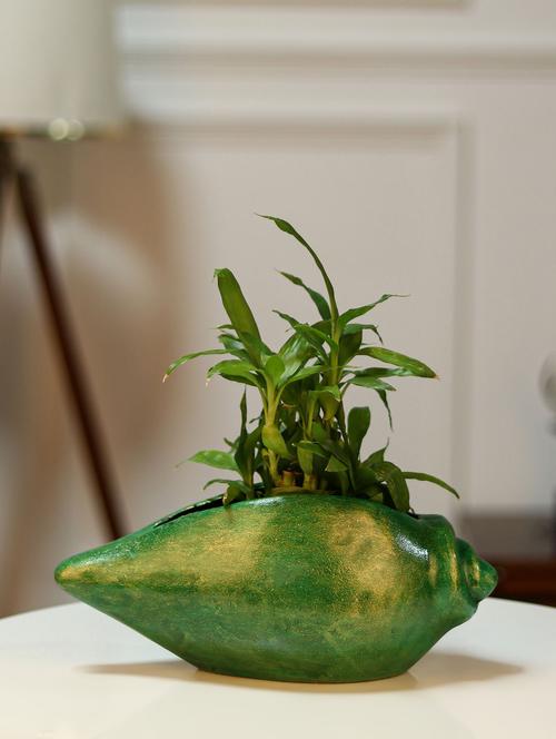 home decor fiber table top planter pot shankh shape flower pot for home office, garden, indoor planter pot for living room green - 19885968 - Very Small Image - 1