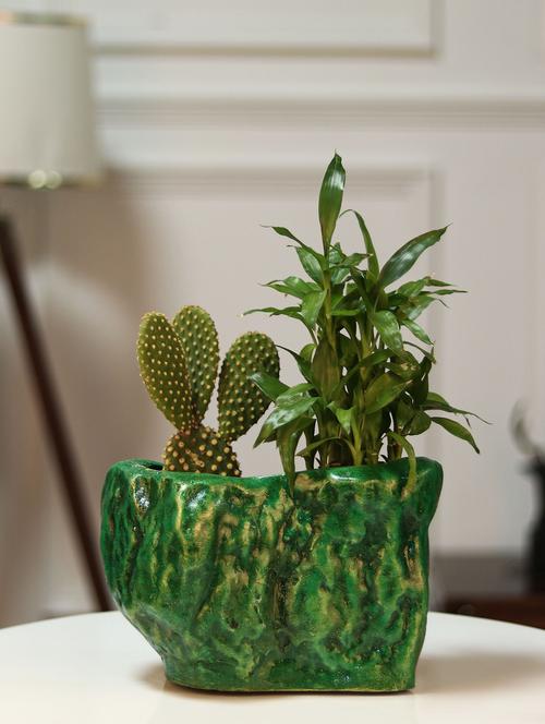 home decor fiber table top planter pot stone shape flower pot for home/office/garden/indoor planter pot for living room green - 19885974 - Very Small Image - 1