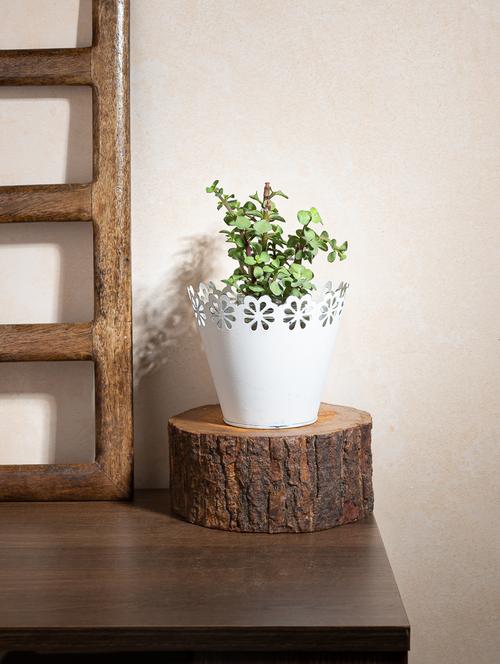 vintage french flora planter - 20194061 - Very Small Image - 1