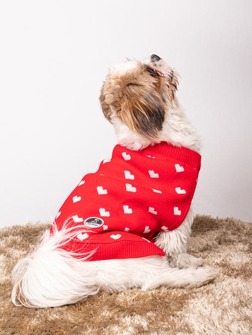 red woolen self design dog sweater - 21703724 - Very Small Image - 1