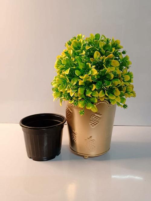 artificial plant with pot pack of 1 - 21717255 - Very Small Image - 1