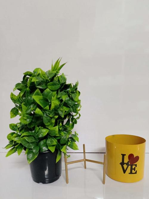 artificial plant with pot pack of 1 - 21717277 - Very Small Image - 1