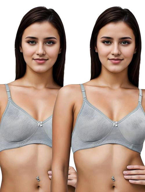 women pack of 2 solid lightly padded t-shirt bra - 21990834 - Very Small Image - 1