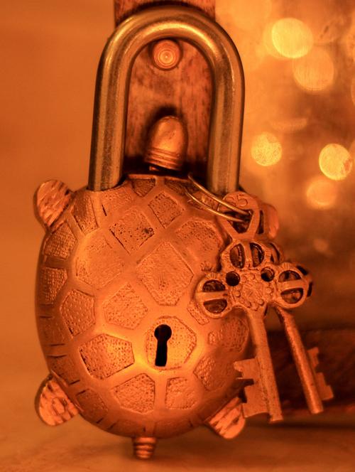 turtle secret brass lock - 891542 - Very Small Image - 1