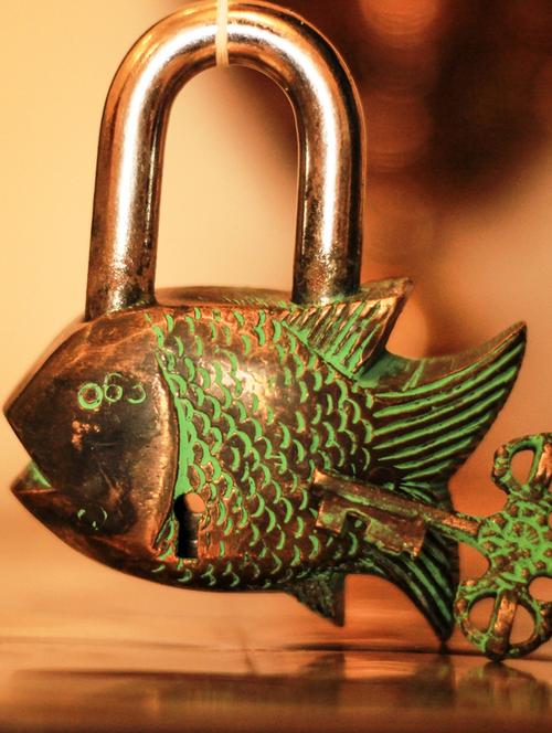 fish brass lock - 891557 - Very Small Image - 1