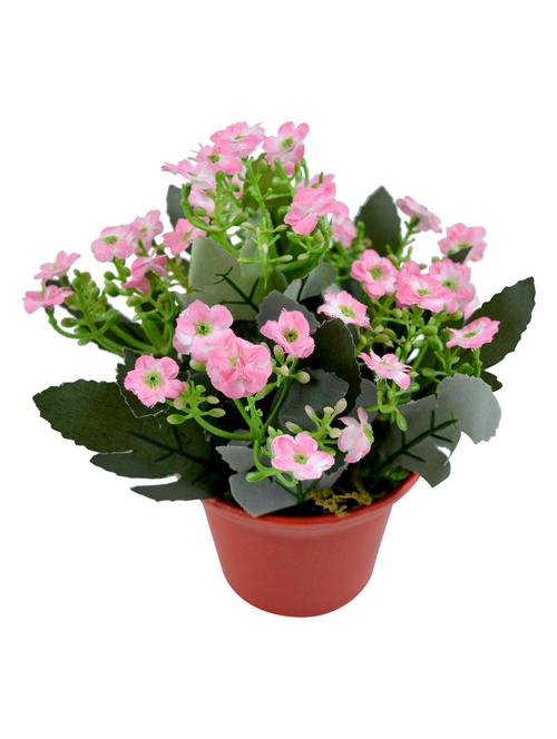 Desktop Artificial Flower Plant With Pot Style - 10059257 - Very Small Image - 1