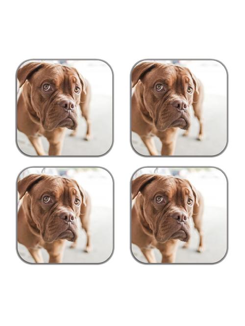 roller skates refrigerator magnets-set of 4 - 10505236 - Very Small Image - 1