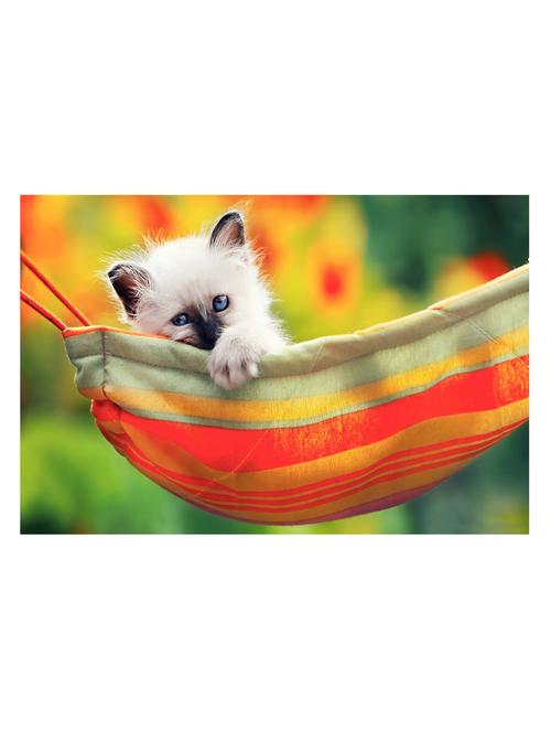 cute cat poster - 10539843 - Very Small Image - 1