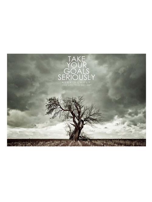 take your goals seriously poster - 10540217 - Very Small Image - 1
