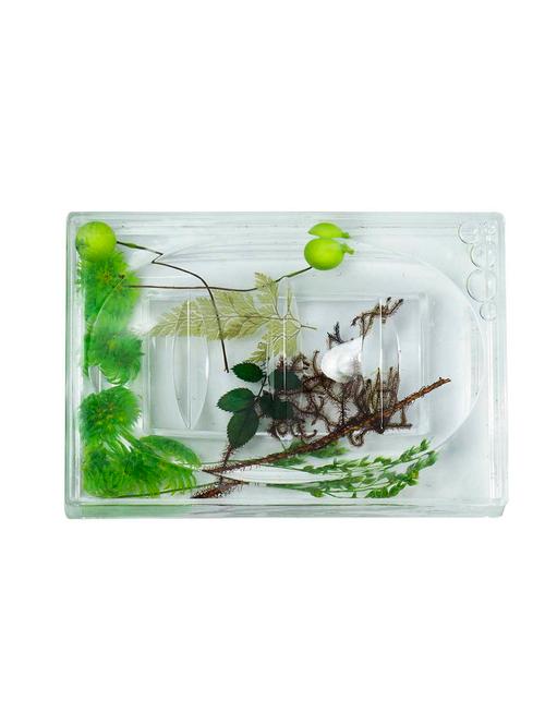polo lifetime always rectangular acrylic royal soap dish - green leaves potpourri - 10825307 - Very Small Image - 1
