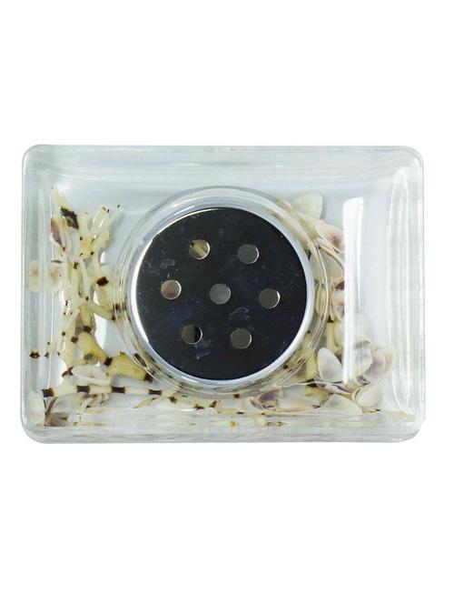 polo lifetime always small rectangular acrylic soap dish - brown leaf & sea shells potpourri - 10825317 - Very Small Image - 1