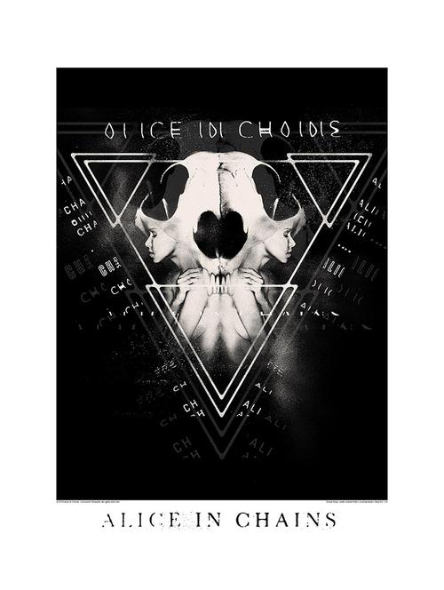 alice in chains two face poster - 11028716 - Very Small Image - 1
