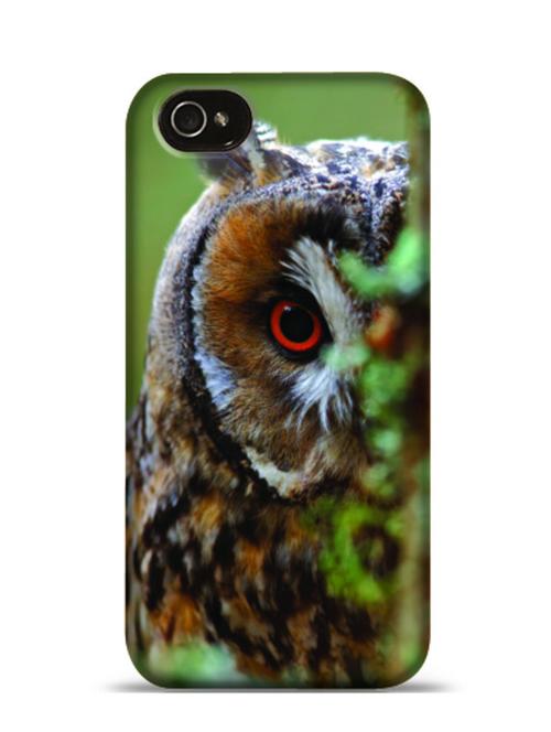 long eared owl apple iphone 4 phone case - 11237195 - Very Small Image - 1