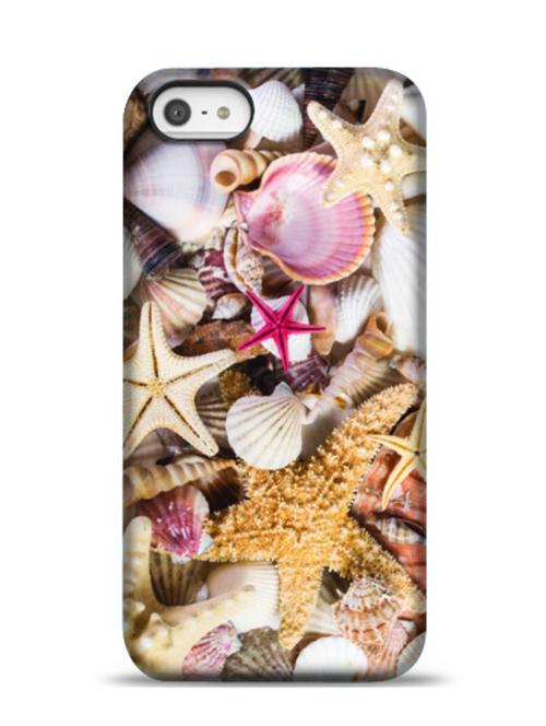 sea shell apple iphone 5c phone case - 11237449 - Very Small Image - 1