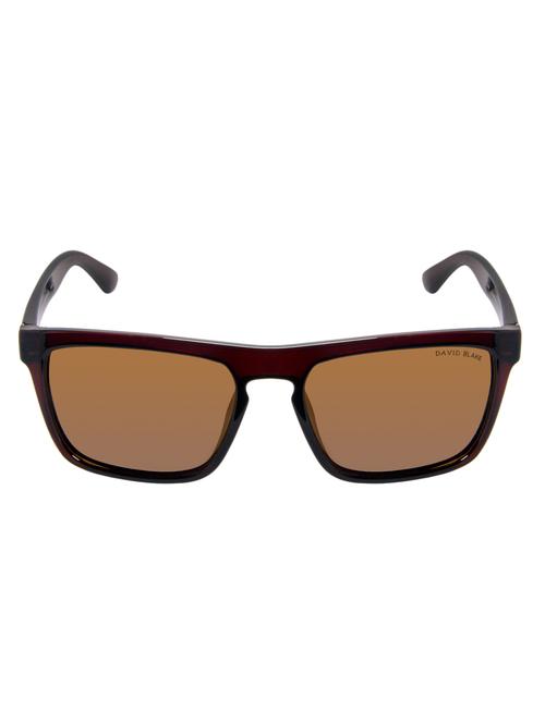 david blake brown wayfarer polarised sunglass - 11901974 - Very Small Image - 1