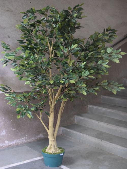 Fourwalls  215 cm tall decorative artificial Ficus plant without pot - 12248652 - Very Small Image - 1