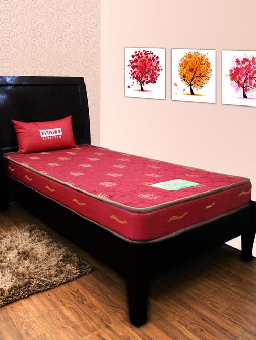 coirfit heaven back 4 inch queen size mattress - 12836123 - Very Small Image - 1