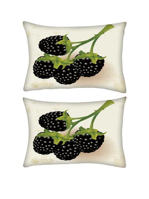 snoogg pack of two blackberries vector rectangle toss throw pillow cushion cover decoarative pillow case 14 x 07" - 13572124 - Very Small Image - 1