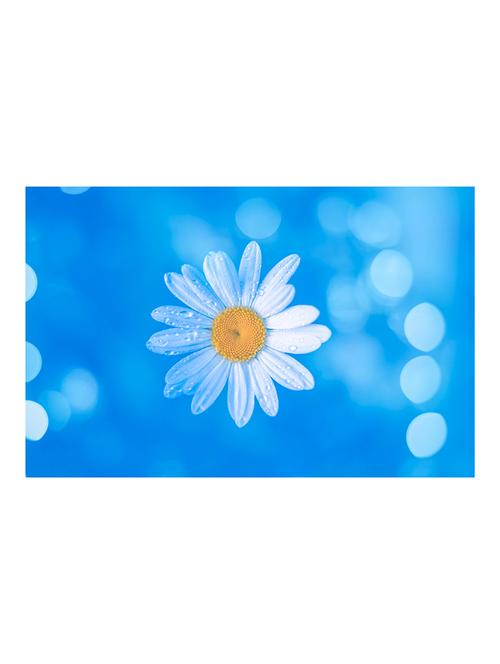 the print cart paper chamomile painting - 13972690 - Very Small Image - 1